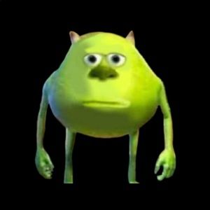 Meet your Posher, Payton